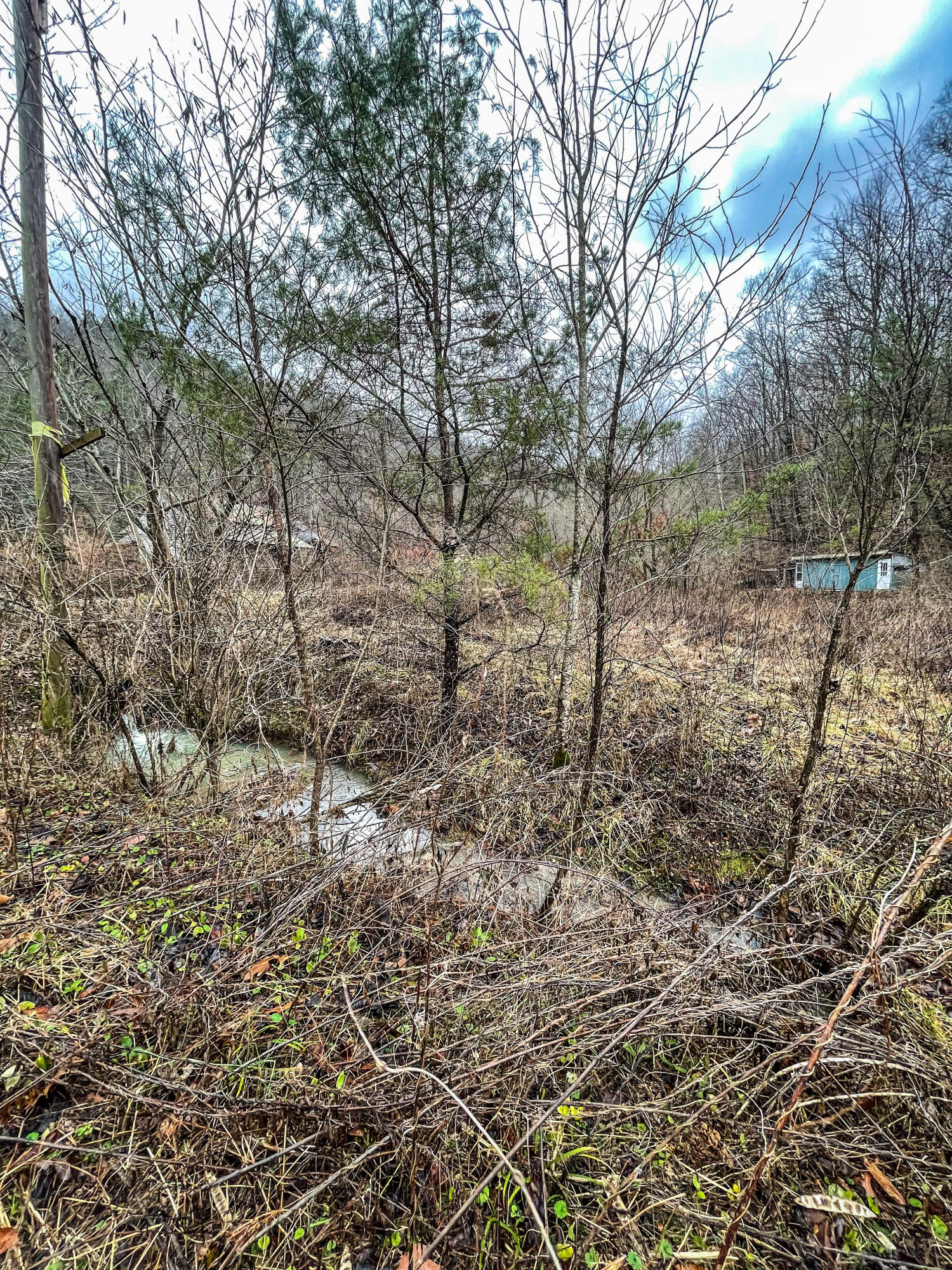 655 Halls Branch Road Stanton, KY 40380 - Photo 2 of 8 image_6483441 (7)