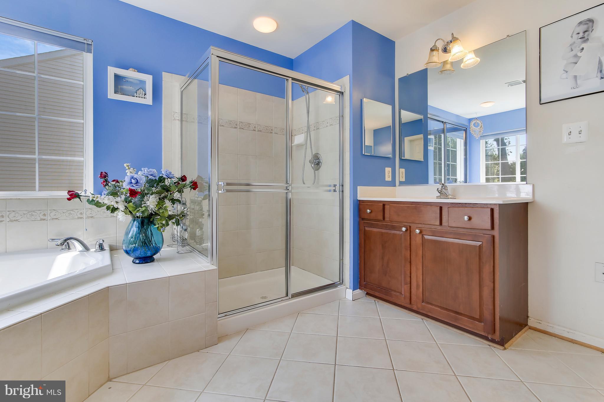 14709 Bubbling Spring Road Boyds, MD 20841 - Photo 15 of 30 Bath (Master)