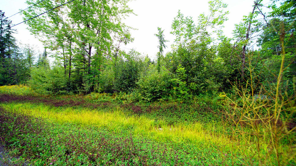 Lot 4 Callaghan Road Houlton, ME 04730 - Photo 14 of 23 davis-callaghan-rd-land-1