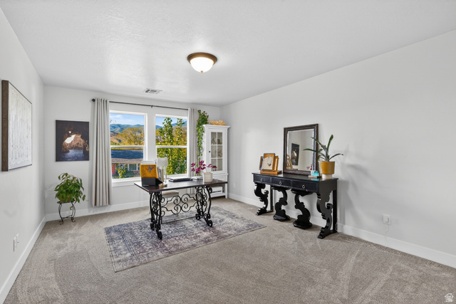 681 Island Road Morgan, UT 84050 - Photo 16 of 49 Spacious room featuring broad windows, light gray carpet, white walls, and a semi-flush mount ceiling light