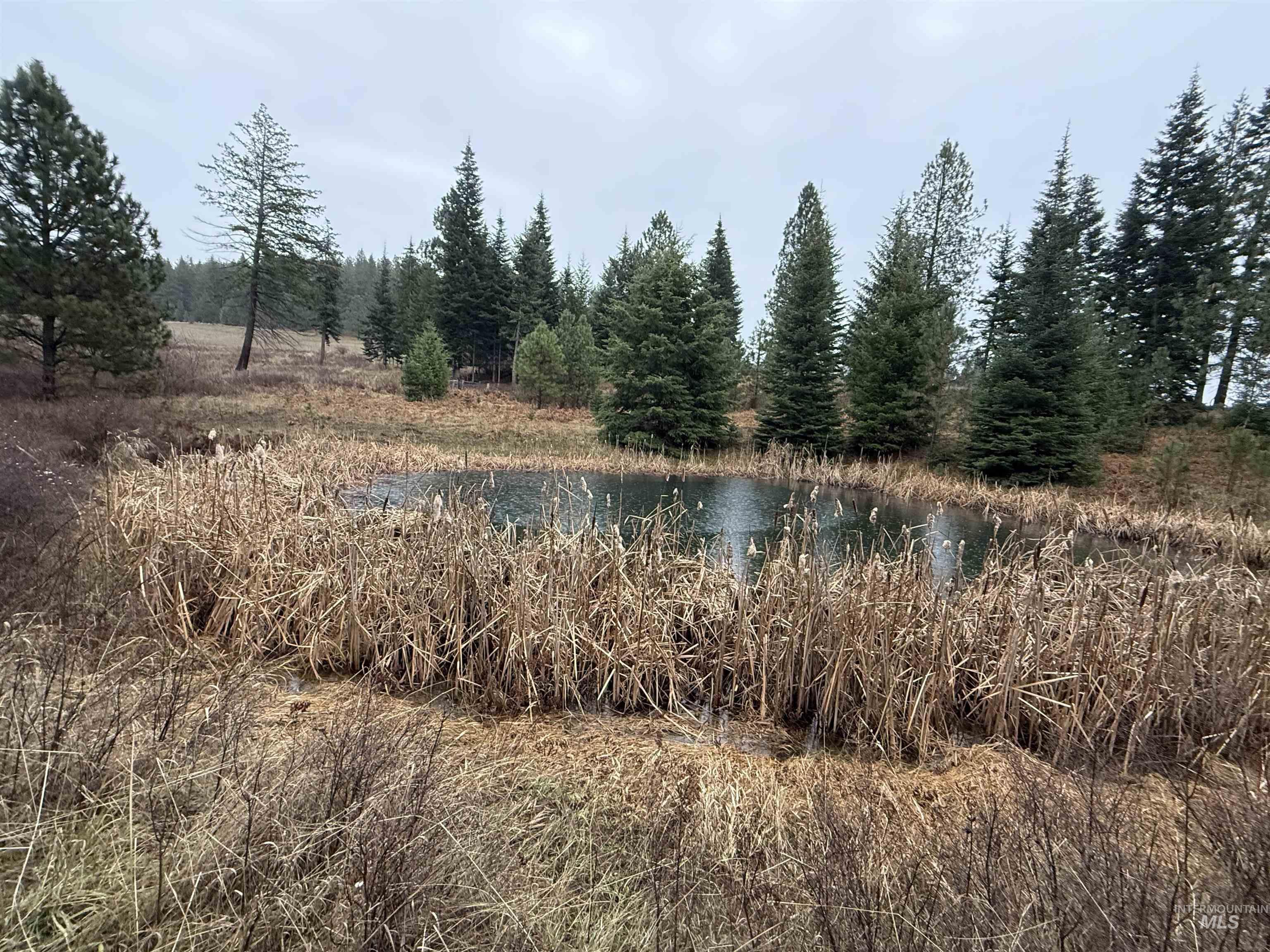 1653 Kidder Ridge Road Kamiah, ID 83536 - Photo 41 of 46 Water view with a forest