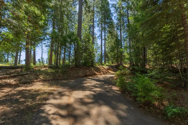 $48,882 | 794 Ponderosa Way, Arnold, CA 95223
