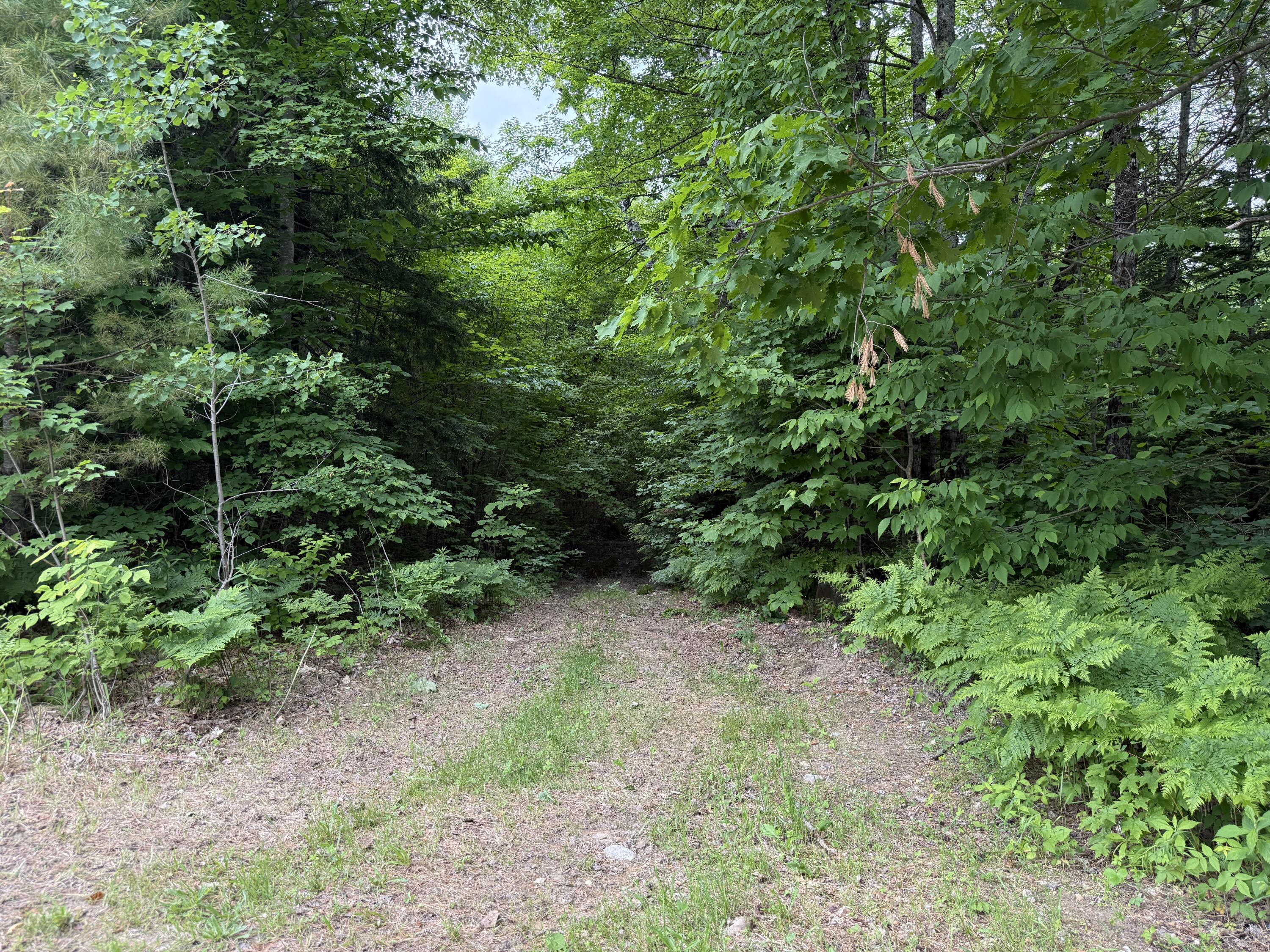 Lot 2 Roger Farnum Road Bryant Pond, ME 04219 - Photo 4 of 6 Roger Farnum Road