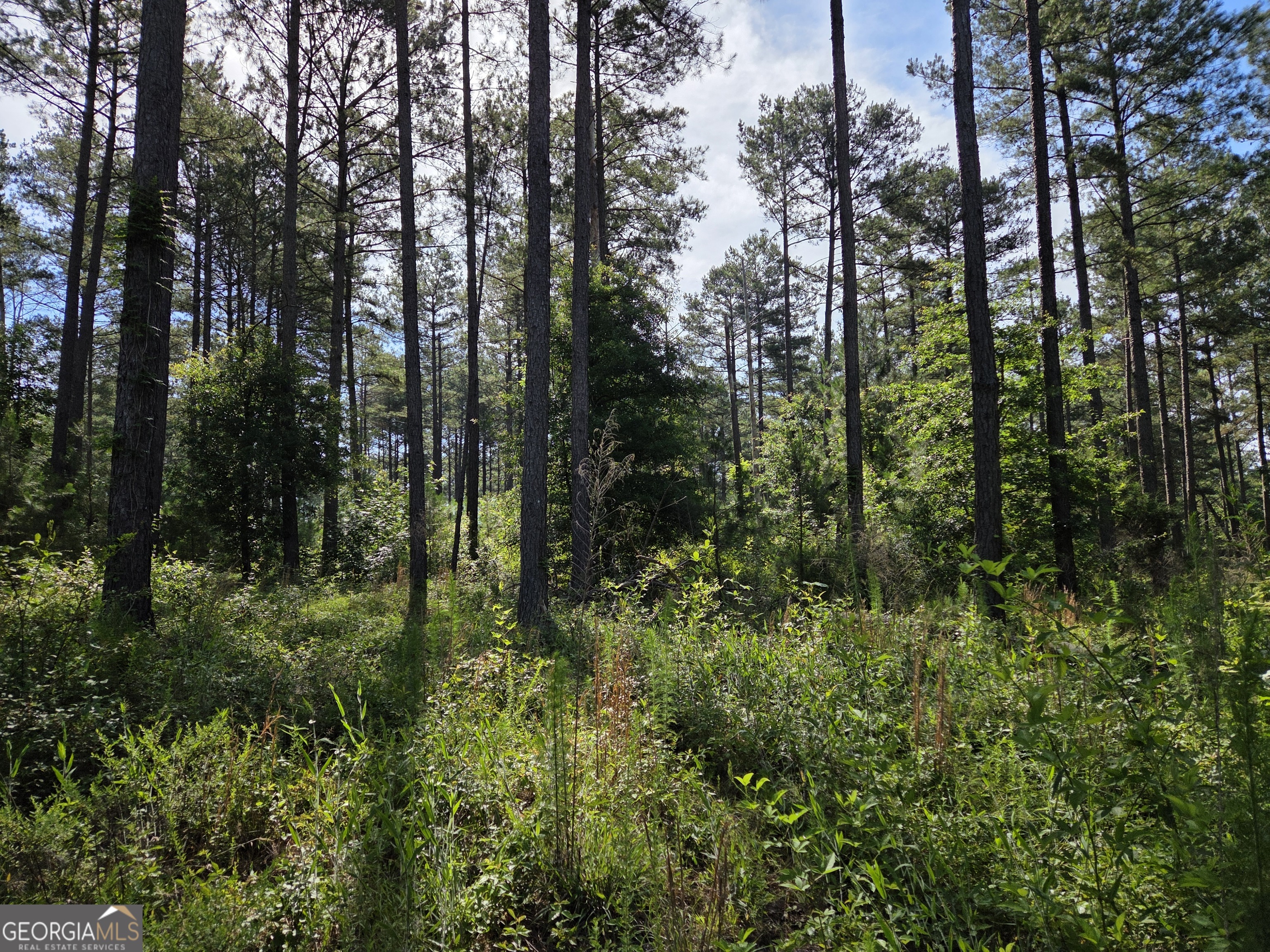 -perkins Road Perkins Road Barnesville, GA 30204 - Photo 2 of 10