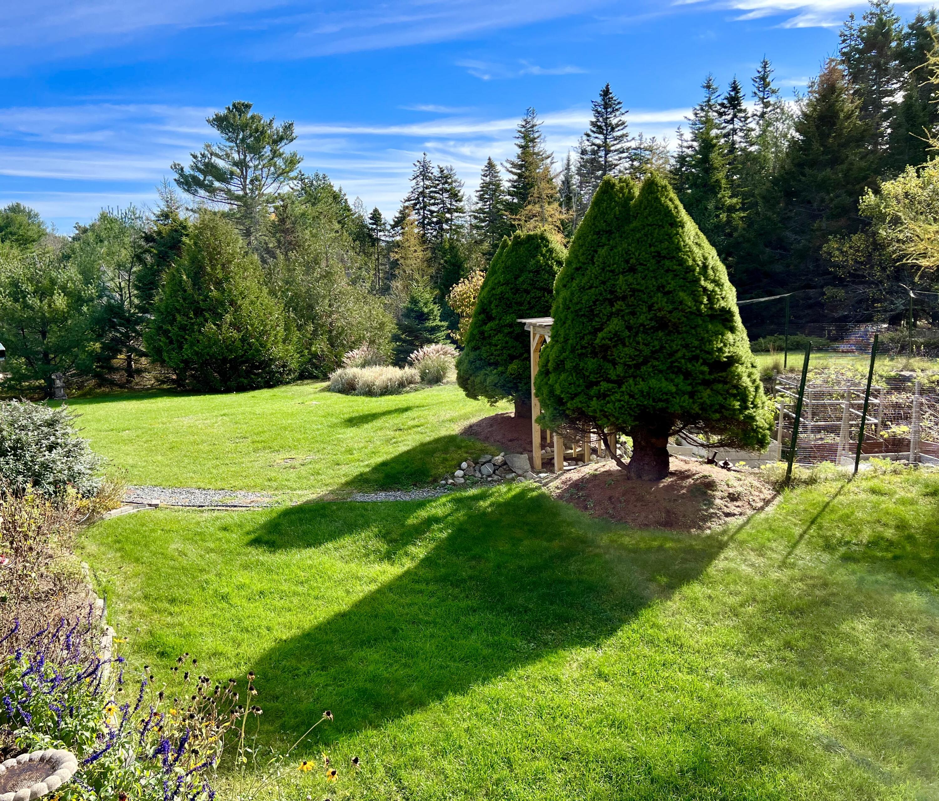70 Burnt Hill Road Tremont, ME 04653 - Photo 62 of 69 Back yard