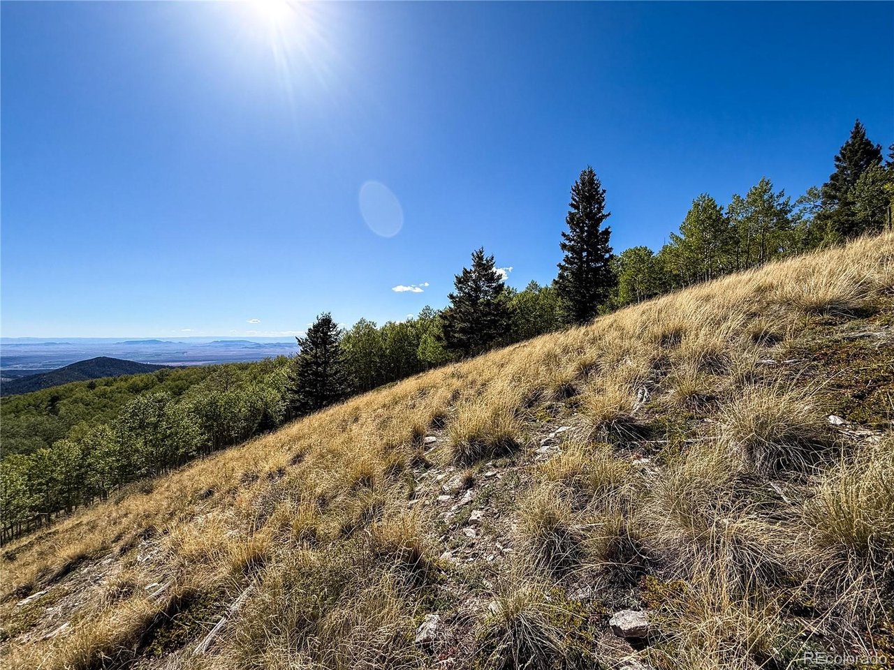 6829 Ryland Road San Luis, CO 81152 - Photo 6 of 28 a view of a field