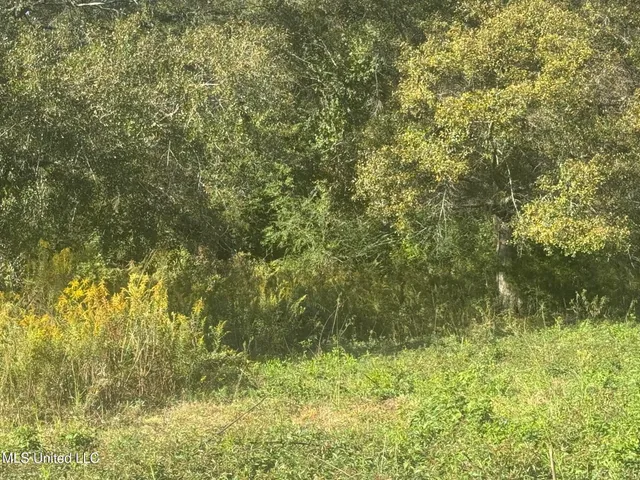 $20,000 | No East Integrity Road, McComb, MS 39648