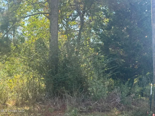 $20,000 | No East Integrity Road, McComb, MS 39648