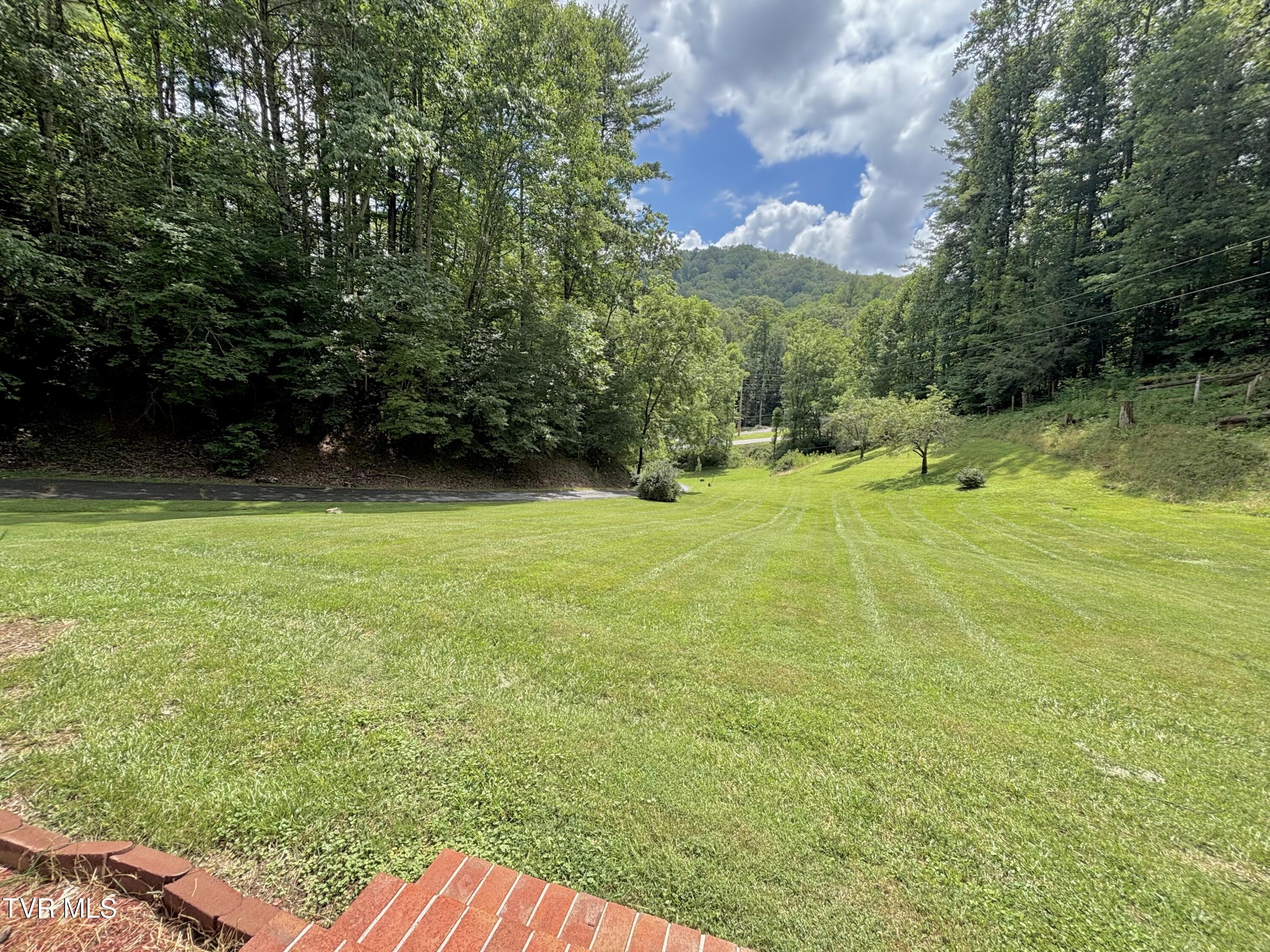 175 Robert Rice Road Erwin, TN 37650 - Photo 36 of 58 IMG_4717
