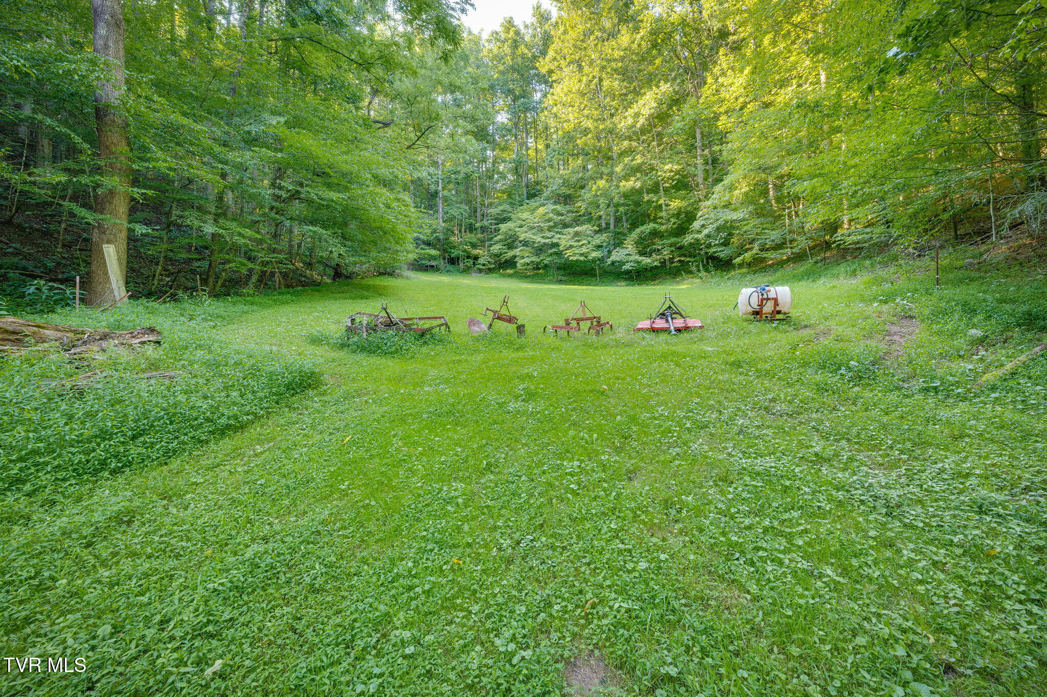 175 Robert Rice Road Erwin, TN 37650 - Photo 43 of 58 040