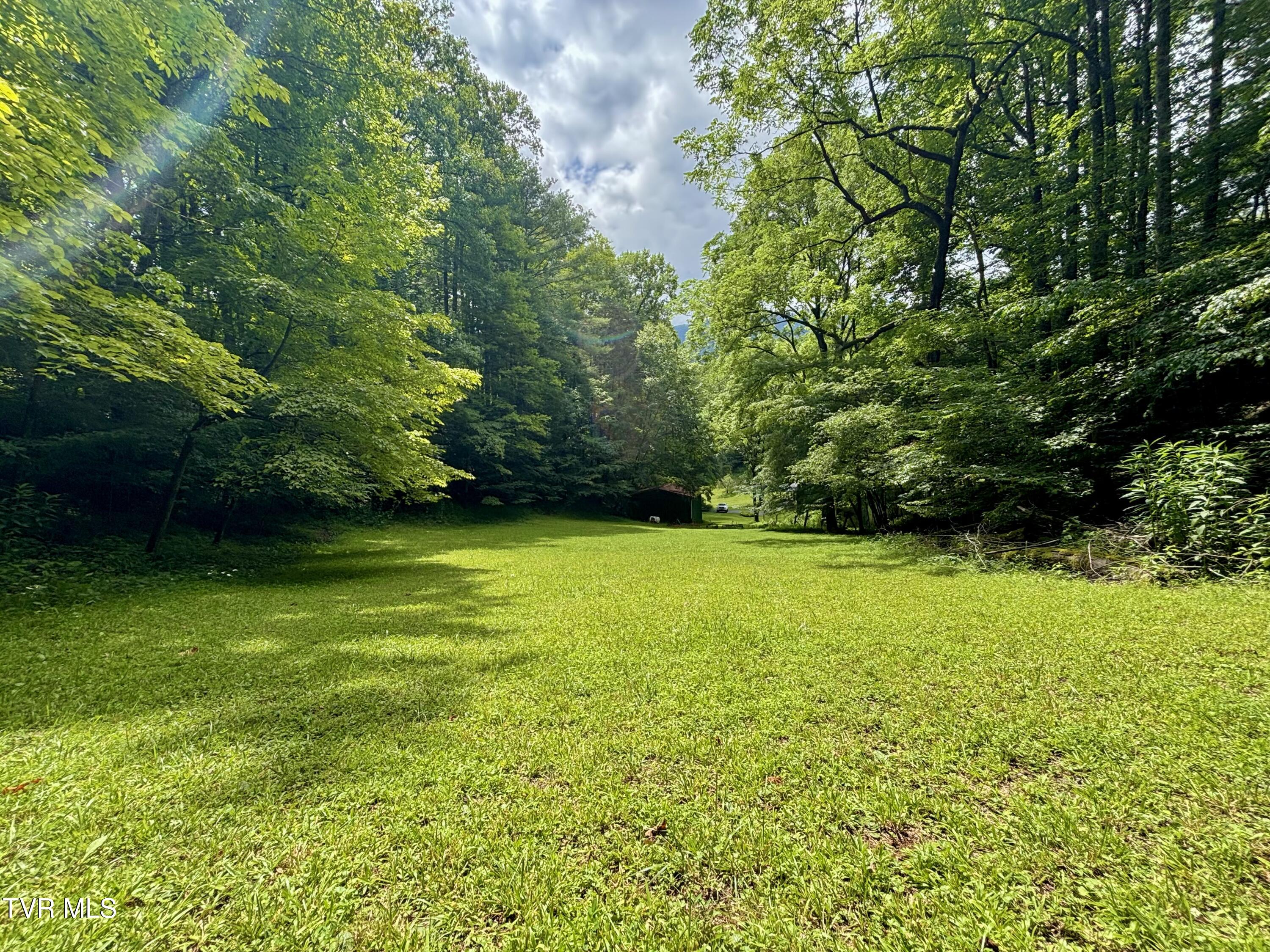 175 Robert Rice Road Erwin, TN 37650 - Photo 45 of 58 IMG_4712