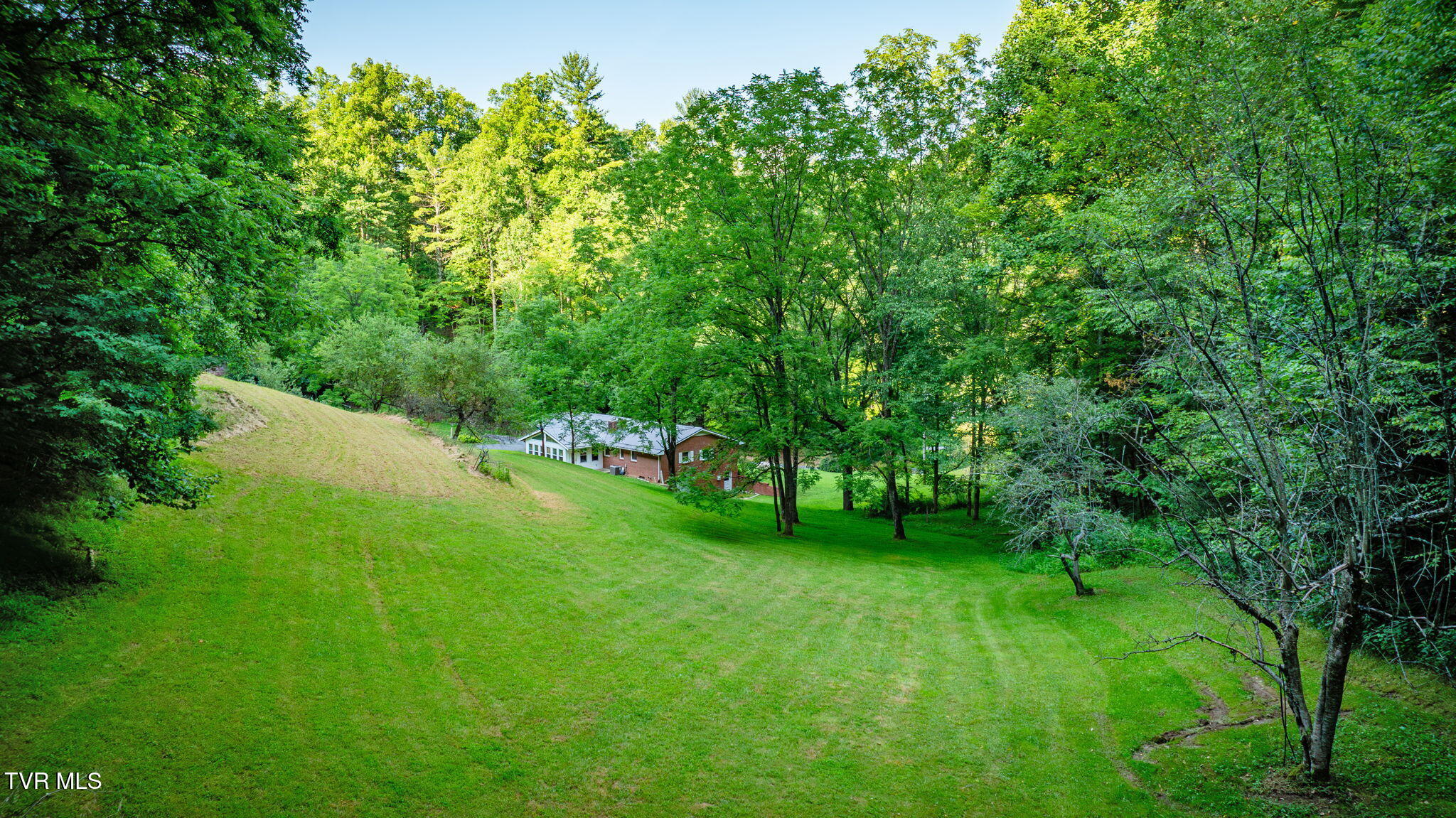 175 Robert Rice Road Erwin, TN 37650 - Photo 46 of 58 113