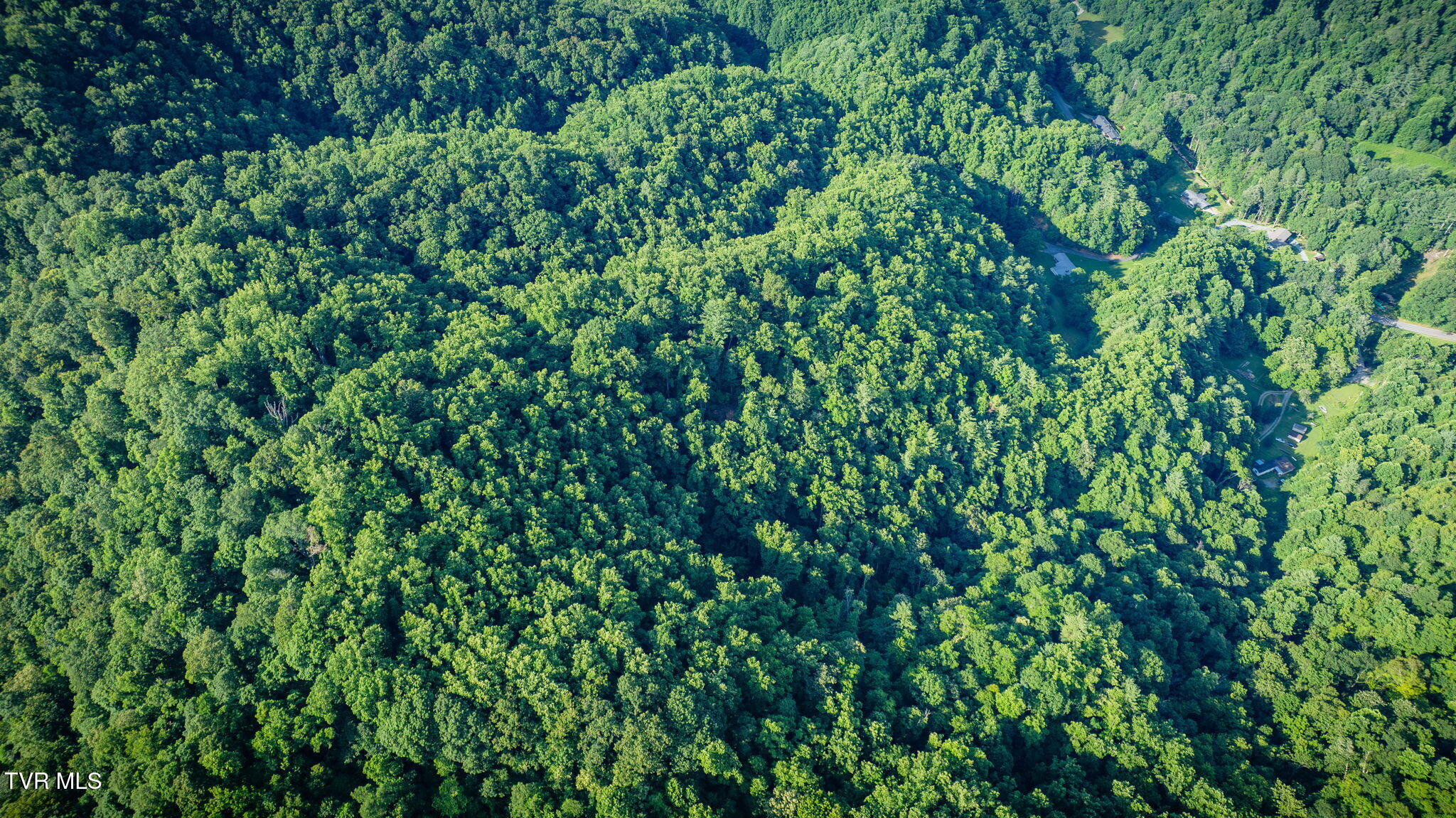 175 Robert Rice Road Erwin, TN 37650 - Photo 56 of 58 107