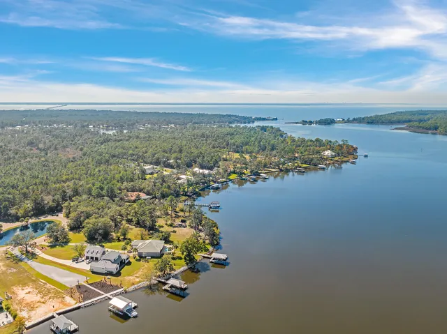 a view of a plants and small yard