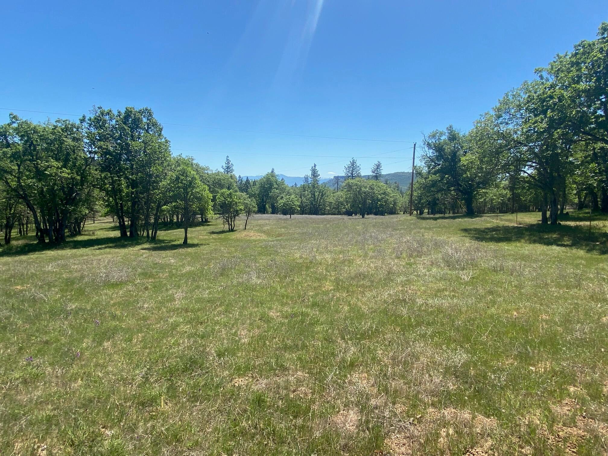 13067 Duggan Road Gold Hill, OR 97525 - Photo 1 of 11 Meadow 1