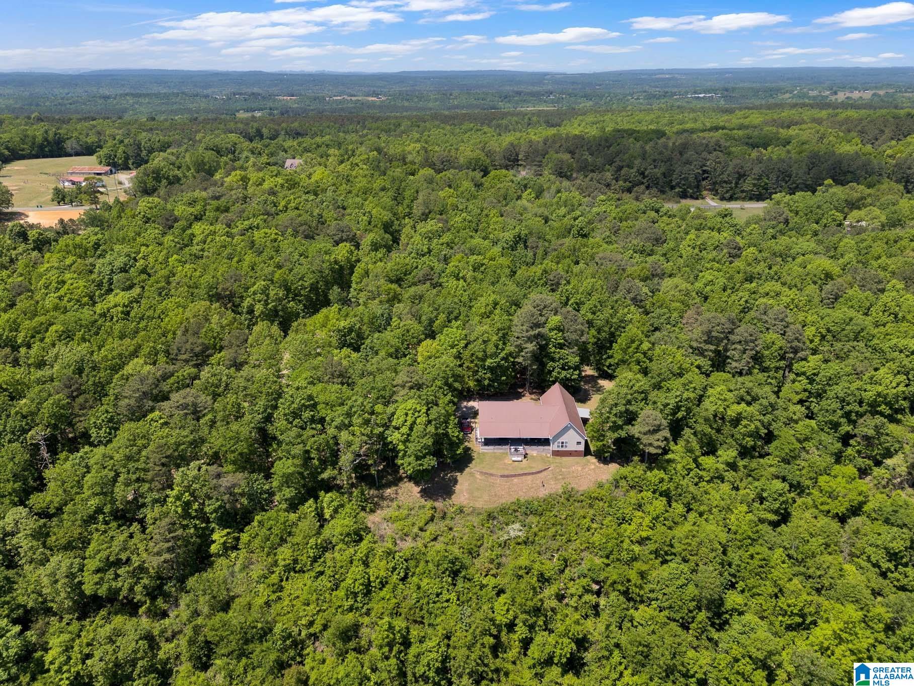 7076 Co Highway 24 Springville, AL 35146 - Photo 51 of 60