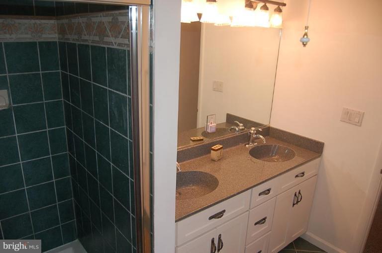 12409 Deoudes Road Boyds, MD 20841 - Photo 17 of 25 Master Bath