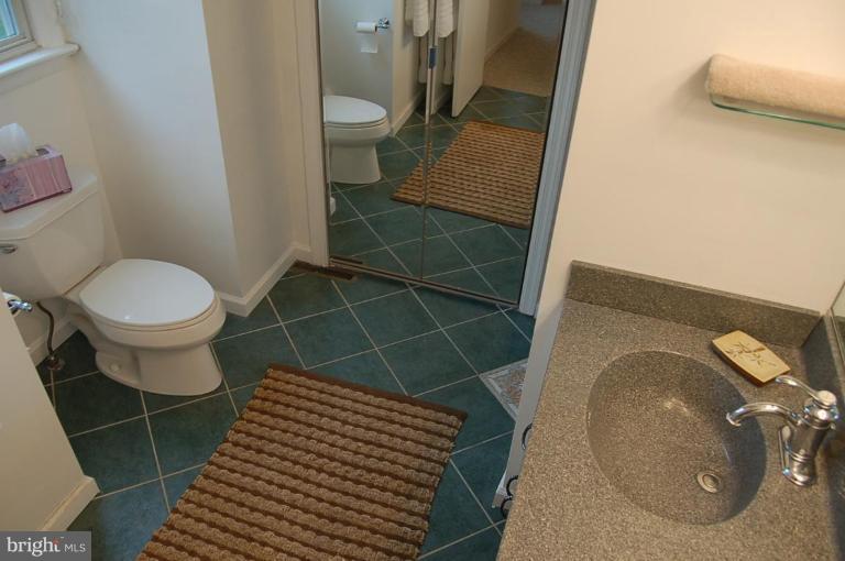 12409 Deoudes Road Boyds, MD 20841 - Photo 18 of 25 Master Bath #2