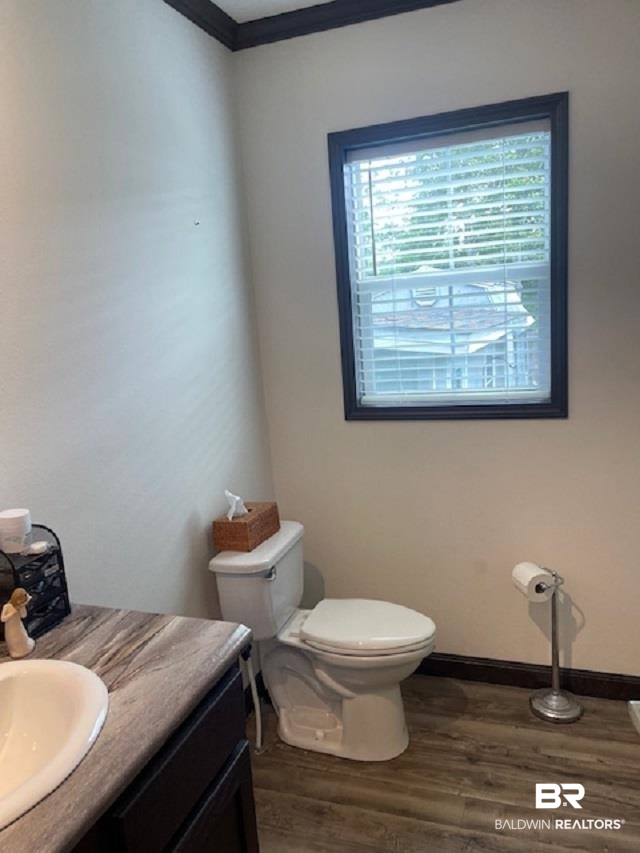486 Elberta Loop Lillian, AL 36549 - Photo 23 of 23 Bathroom featuring ornamental molding, wood-type flooring, vanity, and toilet