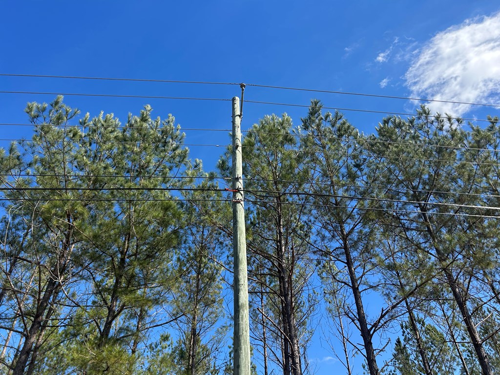 Lot 3-15 -ac Cottonwood Rd/ Phillips Road Cottonwood, AL 36320 - Photo 6 of 49