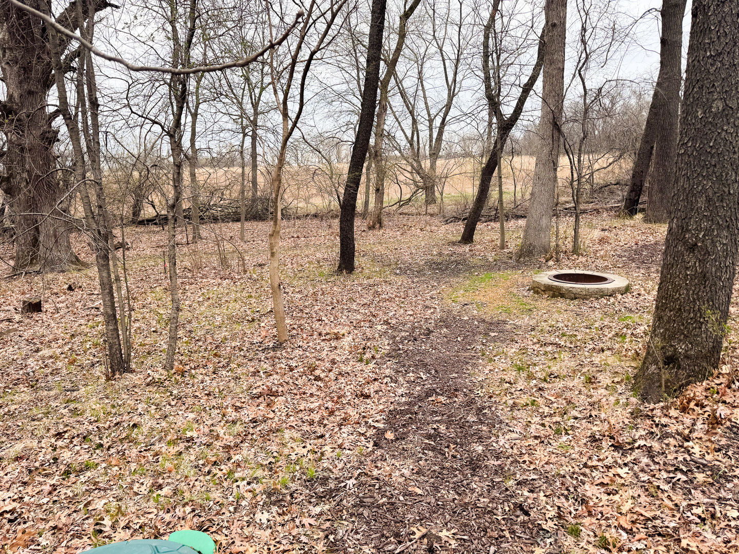 15-172 Woodhaven Sublette, IL 61367 - Photo 3 of 5 a backyard of a house with lots of green space