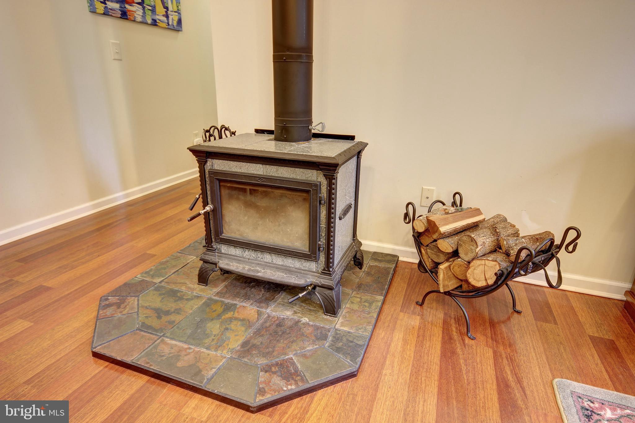 28140 Whitehaven Ferry Road Princess Anne, MD 21853 - Photo 8 of 29 Wood Stove