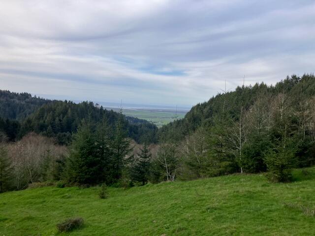 0 Mattole Road Ferndale, CA 95536 - Photo 5 of 10