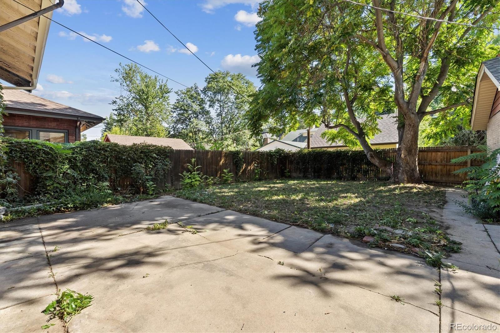 2510 Cherry Street Denver, CO 80207 - Photo 36 of 45 a view of a yard with plants and a large tree