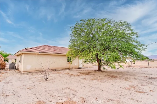 a view of a backyard with a tree