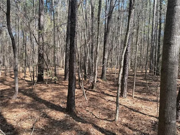 $138,000 | Lot 16 Willie Road, Seagrove, NC 27341