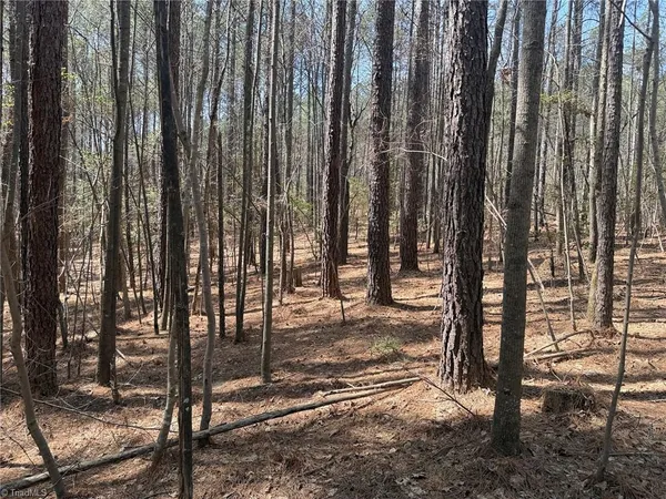 $138,000 | Lot 16 Willie Road, Seagrove, NC 27341