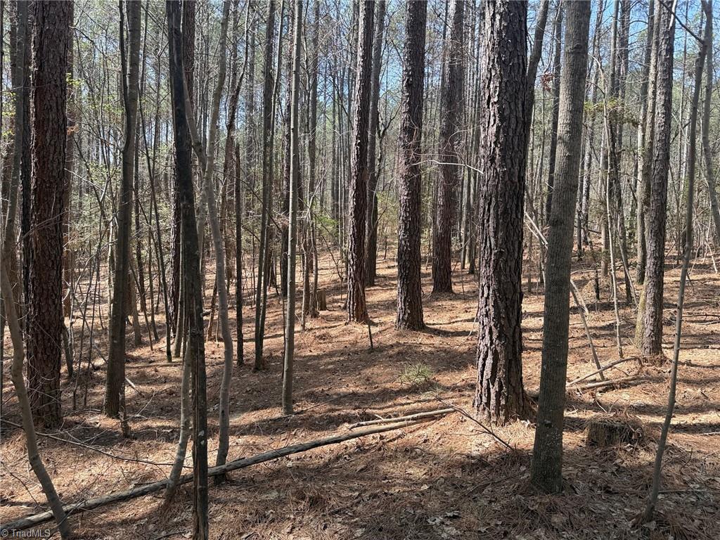 Lot 16 Willie Road Seagrove, NC 27341 - Photo 4 of 9