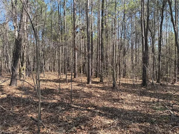 $138,000 | Lot 16 Willie Road, Seagrove, NC 27341
