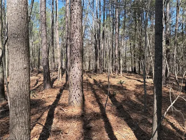 $138,000 | Lot 16 Willie Road, Seagrove, NC 27341