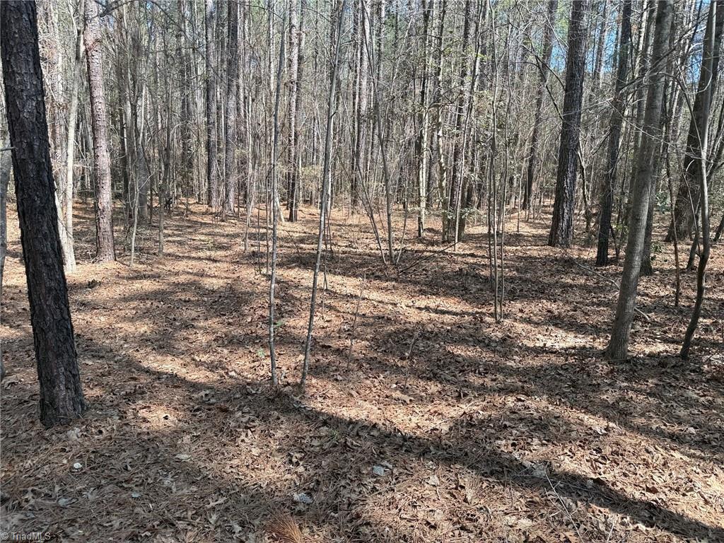 Lot 16 Willie Road Seagrove, NC 27341 - Photo 8 of 9