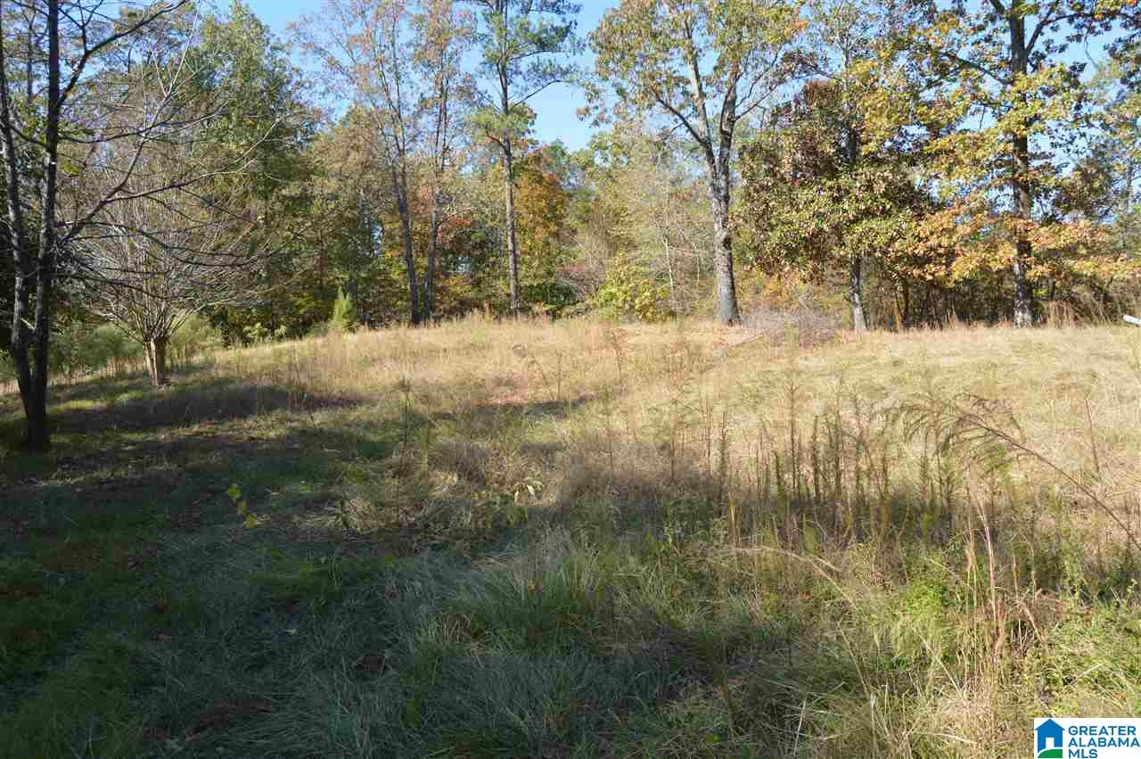 4094 McClendon Chapel Road Bessemer, AL 35022 - Photo 3 of 6