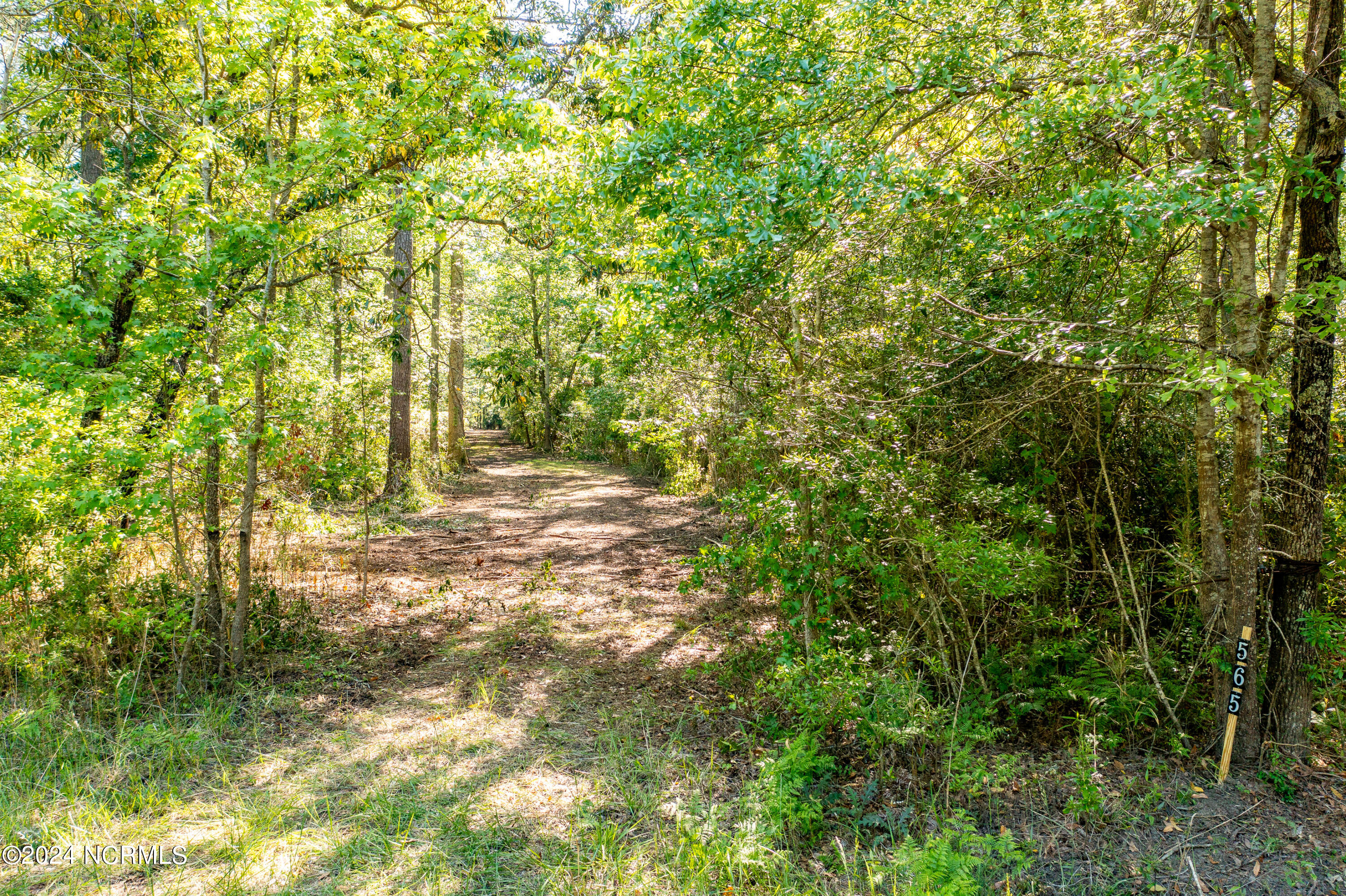 565 Bell Point Road Merritt, NC 28556 - Photo 12 of 27 Chill Photo Aerials-37