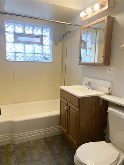 2126 South 18th Avenue Broadview, IL 60155 - Photo 16 of 16 a bathroom with a sink vanity mirror and toilet