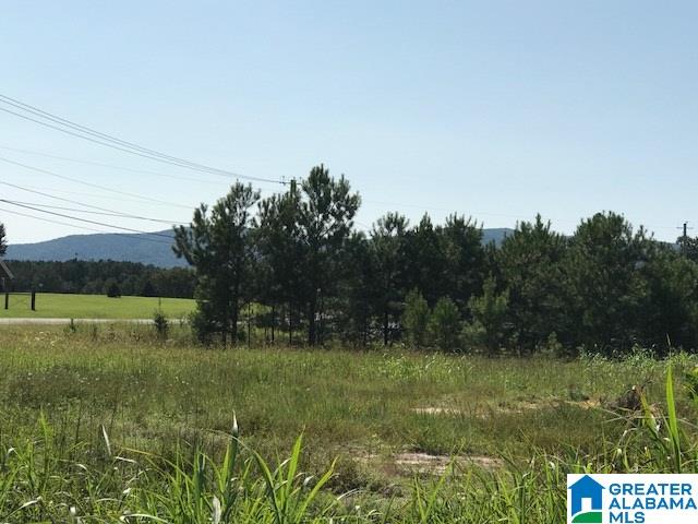 9 Easy Street, Unit 1 Anniston, AL 36207 - Photo 14 of 20