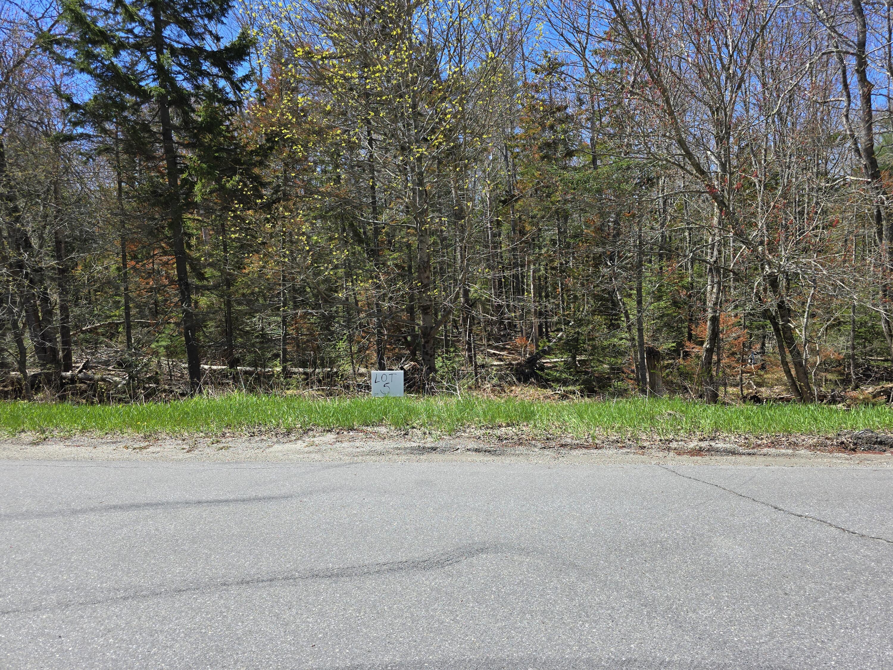 Lot #5 Turkey Cove/wallston Road Tenants Harbor, ME 04860 - Photo 2 of 2 20260507_112431