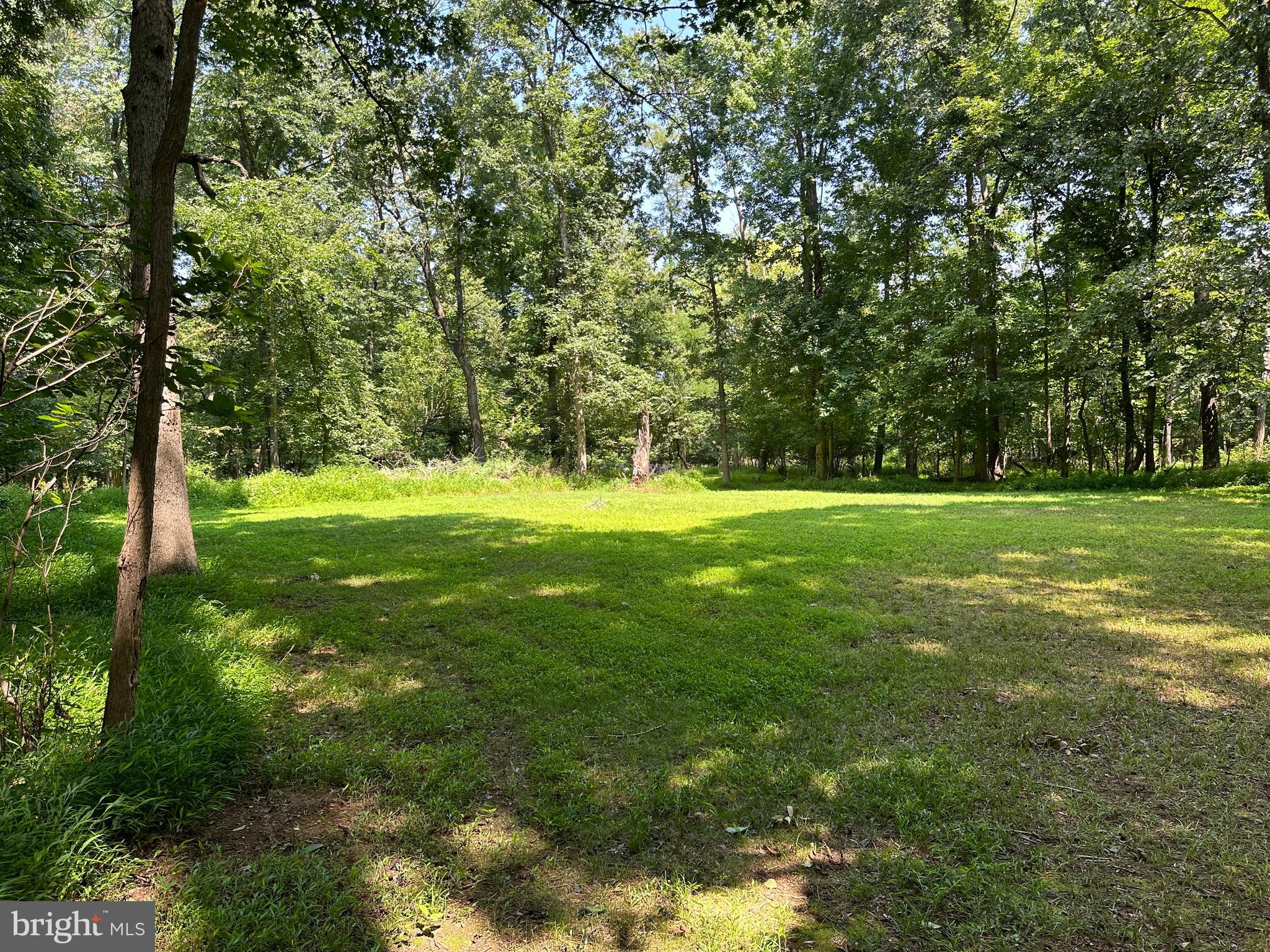 15679 Edgegrove Road Purcellville, VA 20132 - Photo 3 of 16 Exterior Yard