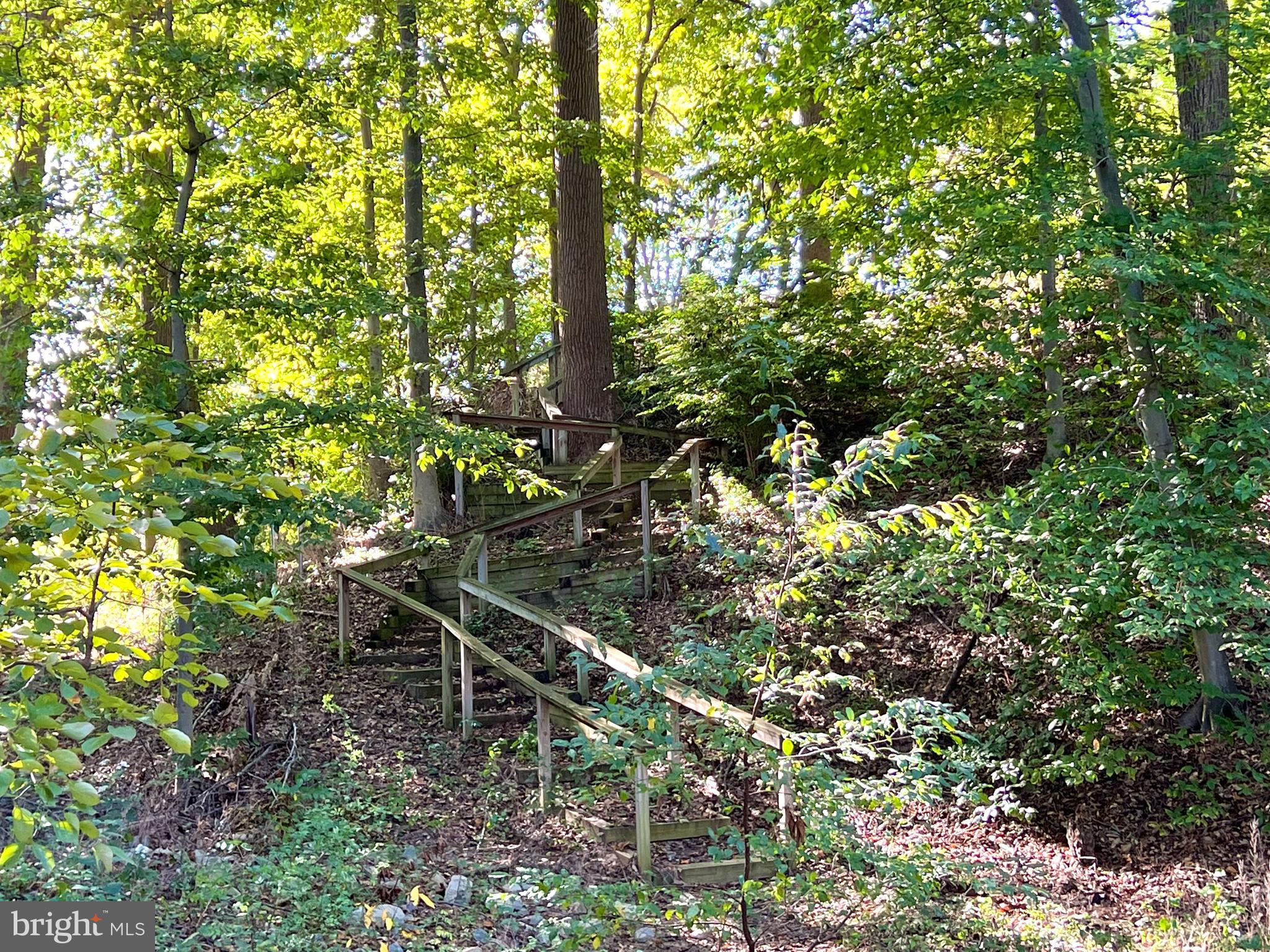 1 Cutter Way Middletown, DE 19709 - Photo 37 of 41 a backyard of a house with lots of trees