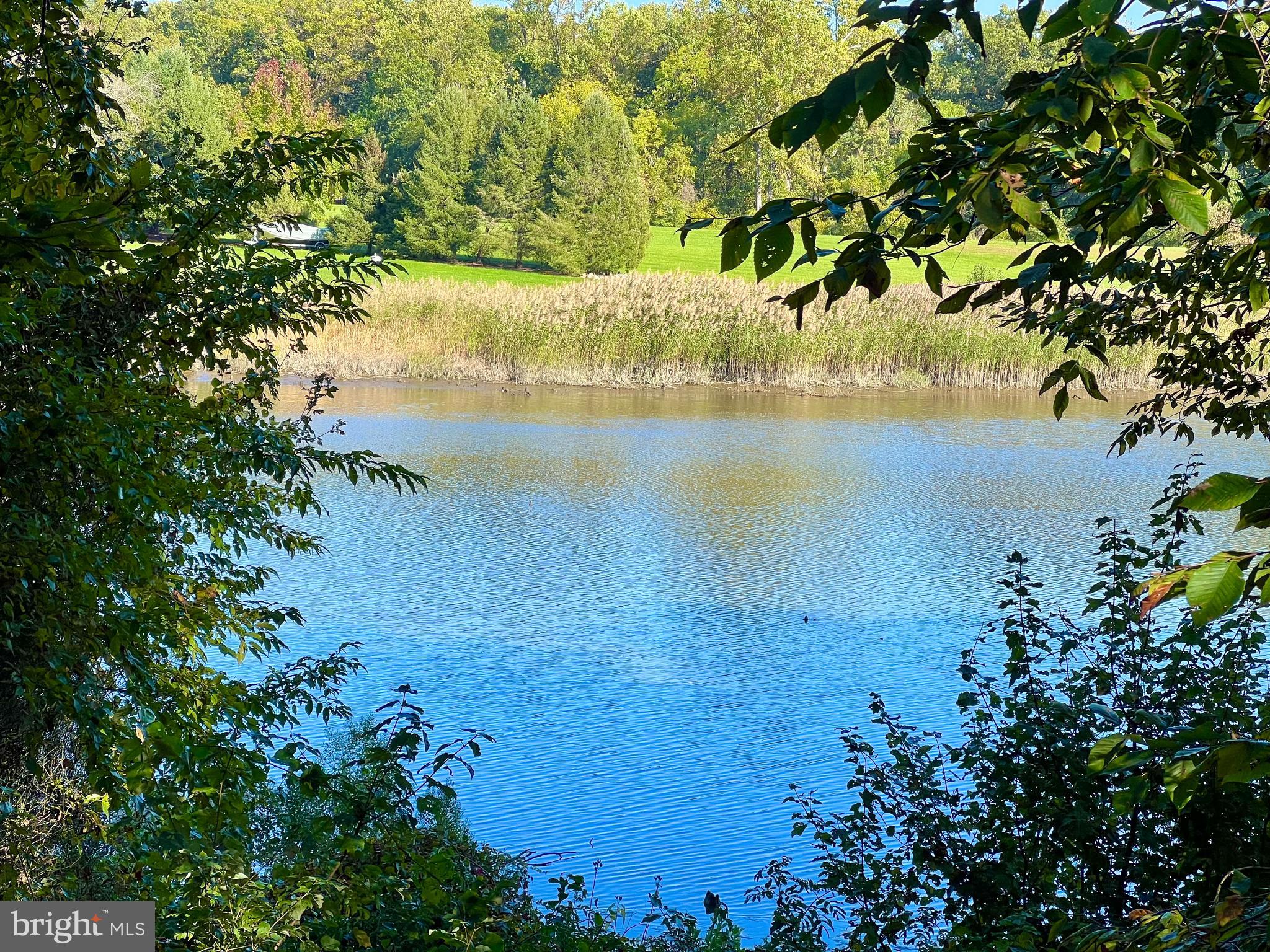 1 Cutter Way Middletown, DE 19709 - Photo 38 of 41 a view of a lake
