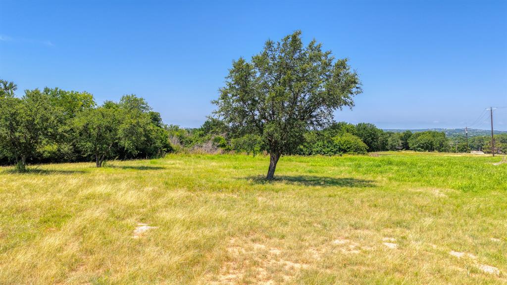 619 Old Annetta Road Aledo, TX 76008 - Photo 2 of 16