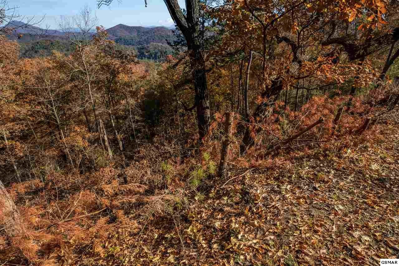 14 Autumn Ridge Way Sevierville, TN 37876 - Photo 6 of 7