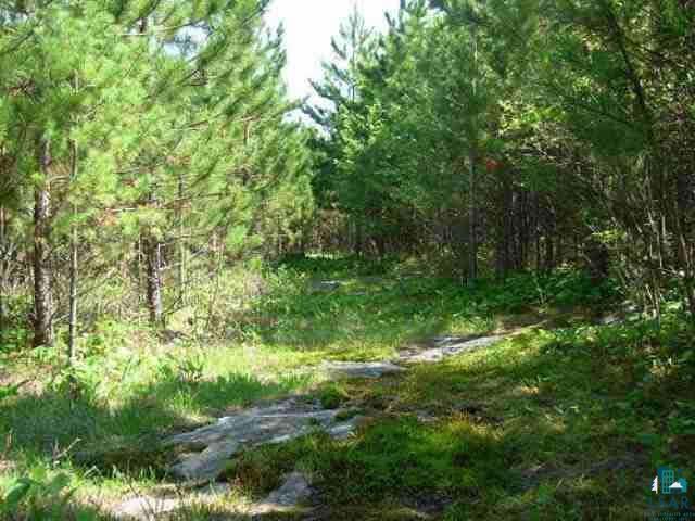Tbd Wolf Lake Road Ely, MN 55731 - Photo 1 of 9 Gallery Image 1
