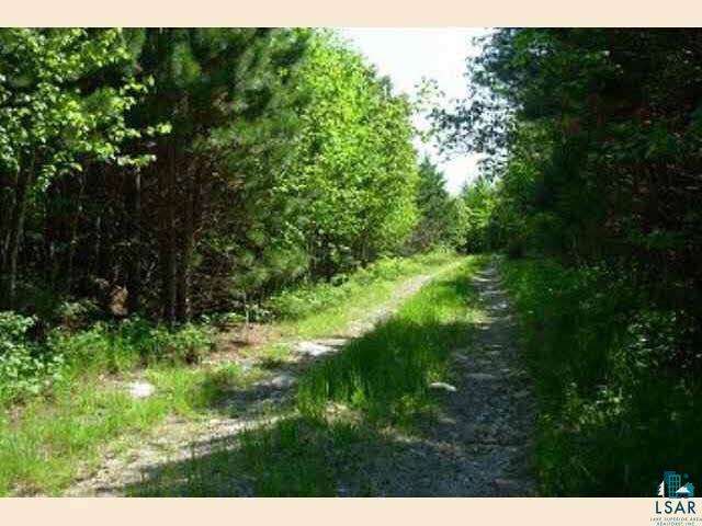 Tbd Wolf Lake Road Ely, MN 55731 - Photo 2 of 9 Gallery Image 2