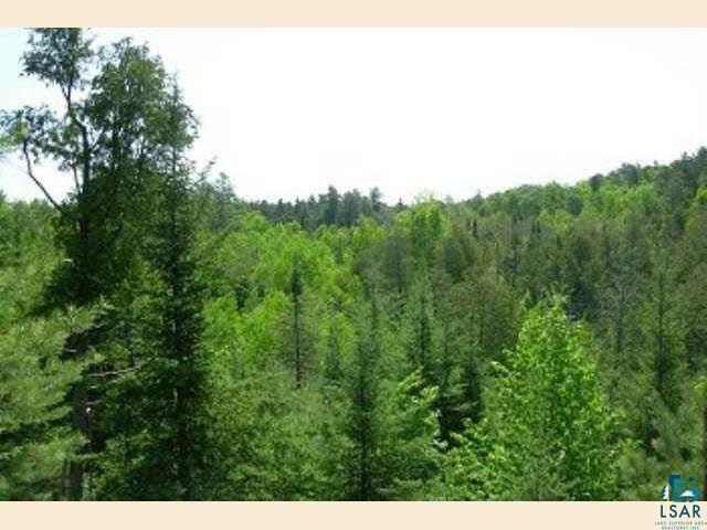 Tbd Wolf Lake Road Ely, MN 55731 - Photo 3 of 9 Gallery Image 3