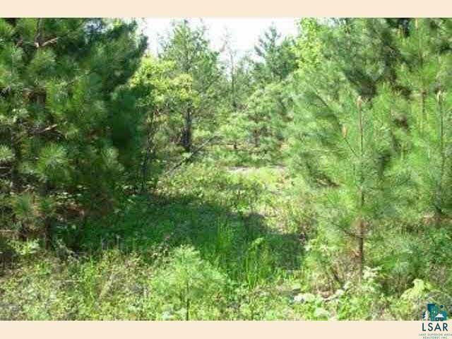 Tbd Wolf Lake Road Ely, MN 55731 - Photo 4 of 9 Gallery Image 4