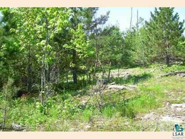 Tbd Wolf Lake Road Ely, MN 55731 - Photo 7 of 9 Gallery Image 7